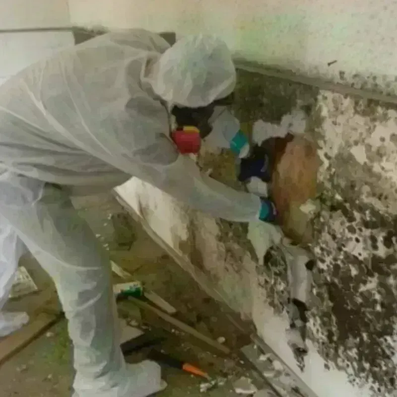 Mold Remediation and Removal in Watertown, WI