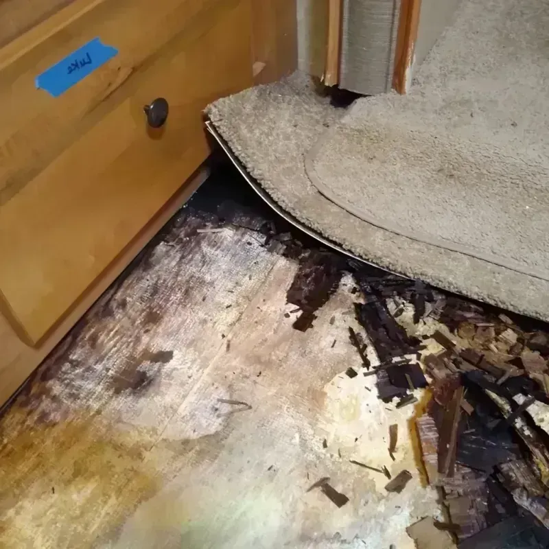 Wood Floor Water Damage in Watertown, WI